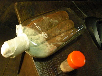 <i>Penicillium roqueforti</i>